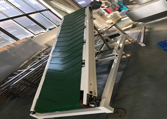 Convoyeur IP65 de palletisation